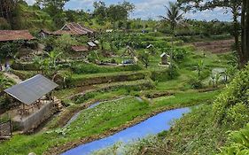 Taman Dolan Home & Resort